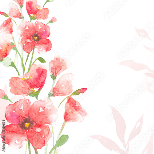 Fototapeta Naklejka Na Ścianę i Meble -  Watercolor png rose border background in pink floral spring season