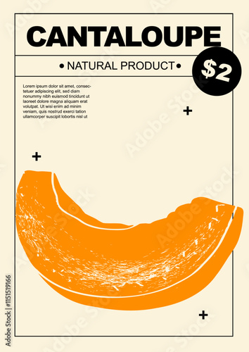 Cantaloupe. Set of posters of fruits and citrus in a abstract draw design. Label or poster, price tag. Simple, flat design. Patterns and backgrounds. Perfect for poster, cover, banner.	