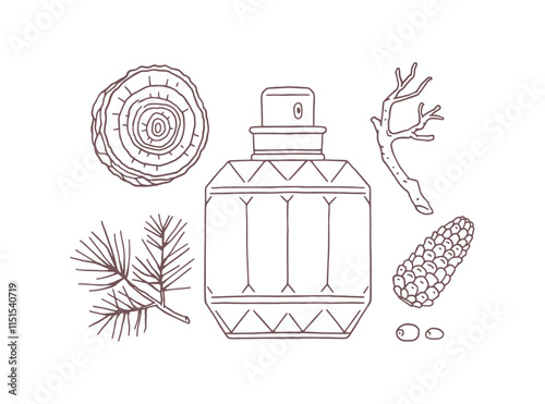 Perfume glass bottle, pine cone, fir wood and spruce branch vector outline icon set, natural coniferous forest fragrance