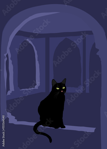 The cat  in the mosque