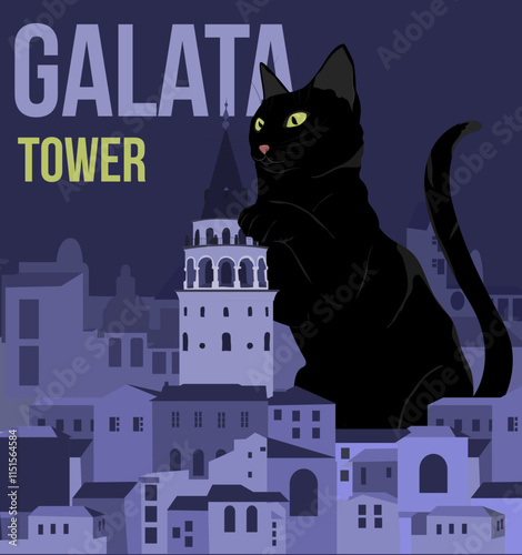 Beautiful black cat of Istanbul on the background of the city and Galata Tower