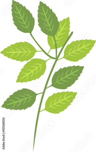 Illustration of Green Basil Leaf of Indian Worship Plant Icon in Flat Style.