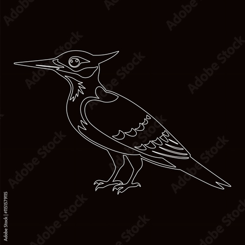 A line  Woodpeckers drawing  photo