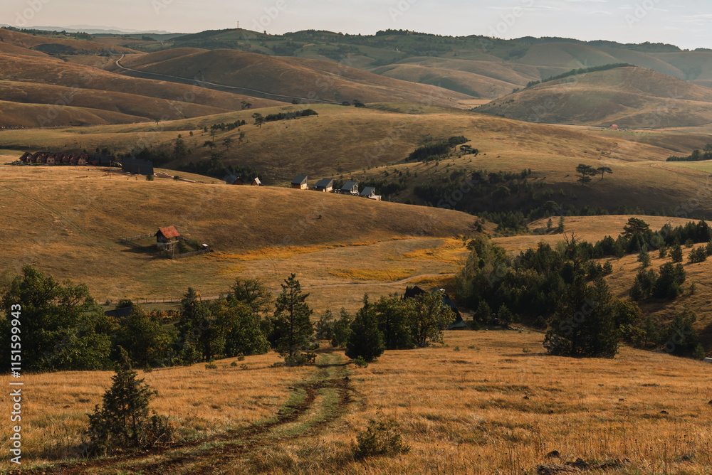 Zlatibor Mountain Panoramic Landscape with Rural Houses