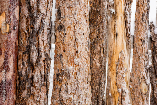 Texture of a rough wooden fence covered in snow in winter. The fence is made of vertical wooden planks, some of which are rough-hewn and others are smooth. photo