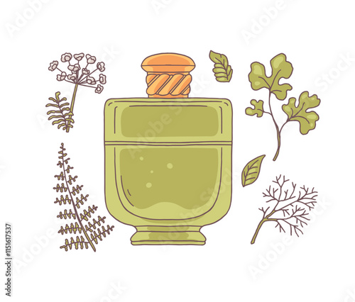 Perfume glass bottle, fennel and dill, parsley cilantro plant leaves vector icons set, natural seasoning grass fragrance