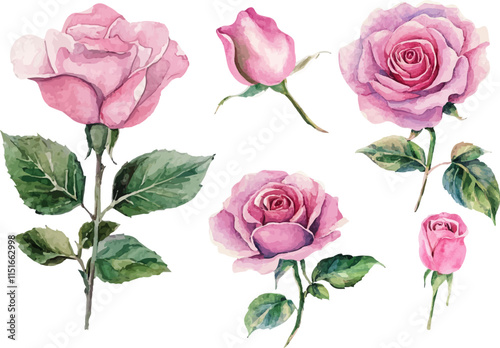 set of pink roses