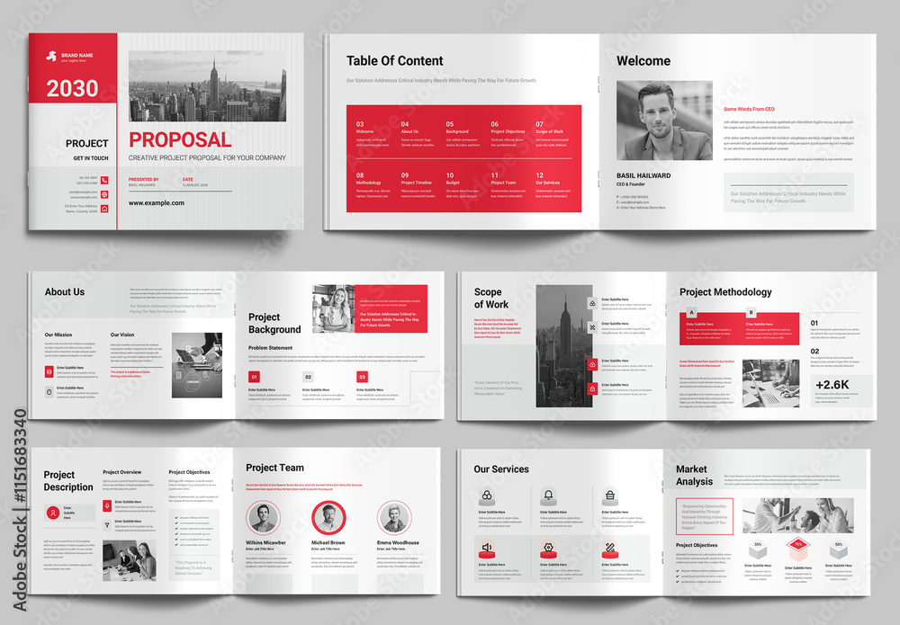 Professional Project Proposal Template for Business Success Stock ...