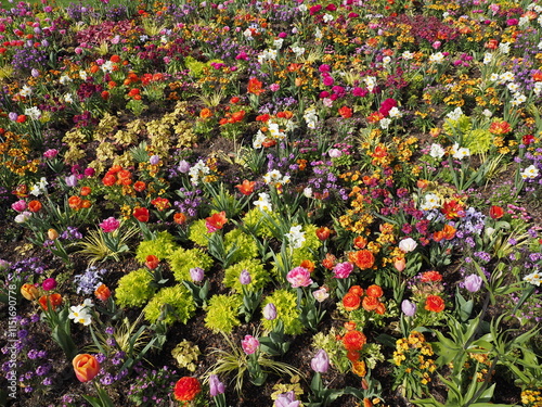 Schönes Blumenbeet