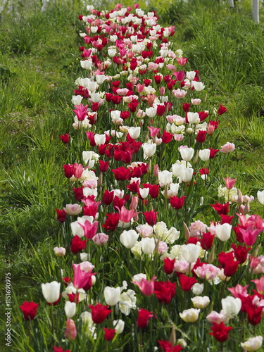 Schönes Blumenbeet