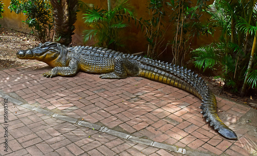 Obraz na płótnie Alligator sculpture at Biopark of Rio w salonie