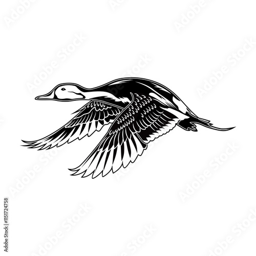pintail duck hunting illustration logo vector image t shirt