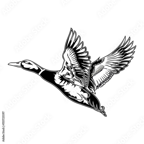 mallard duck hunting illustration logo vector image t shirt photo