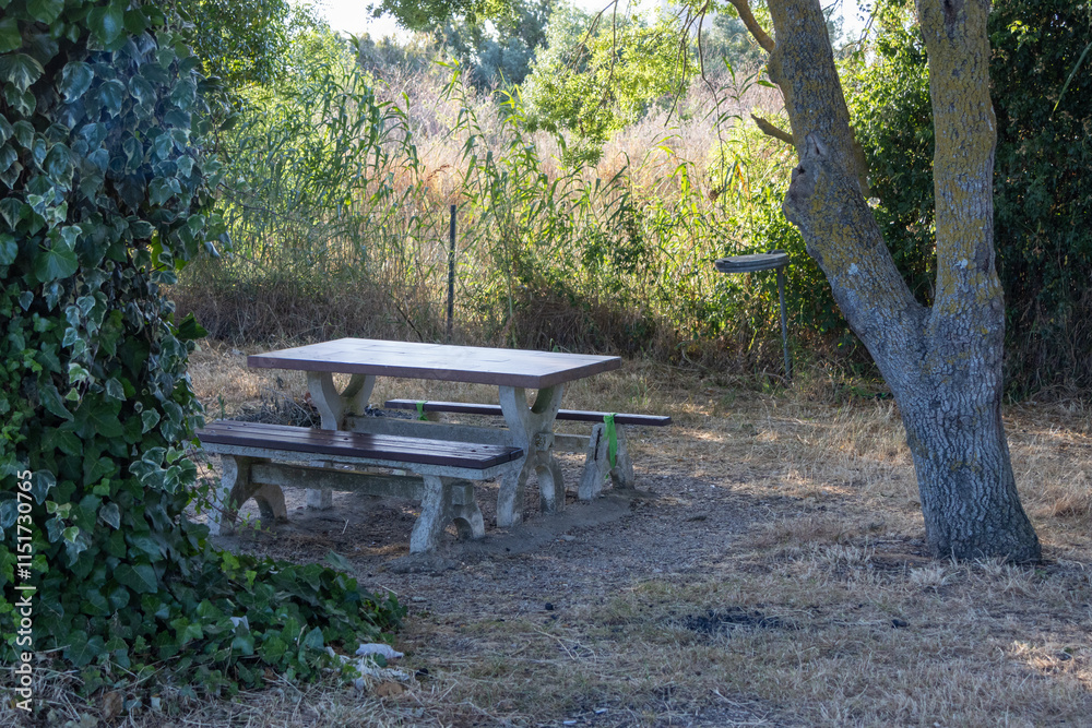 Picnic table under a tree inviting relaxation in nature Picnic table under a tree inviting relaxation in nature