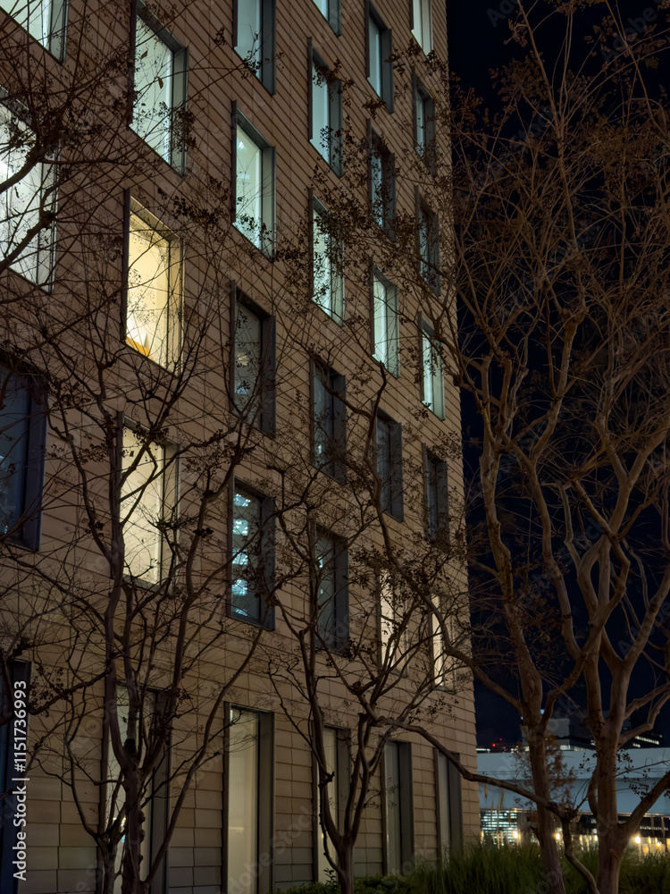 Fototapeta premium 都心散歩 夕暮れ後の汐留20時