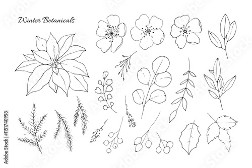 Winter Botanical Vector Set in Black and White