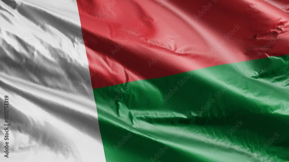 3D illustration closeup of the Madagascar country flag waving in the wind