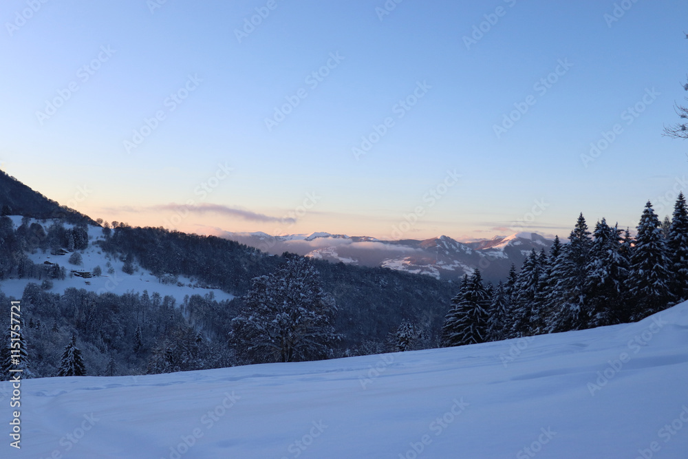 Obraz premium Snowy landscape with snow in the foreground