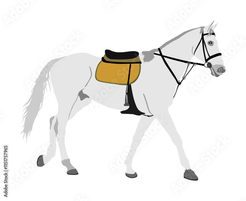 Elegant racing white horse vector illustration isolated on white background. Hippodrome sport event. Jet set entertainment. Equestrian rider jumping over barrier. Handsome noble animal pet.