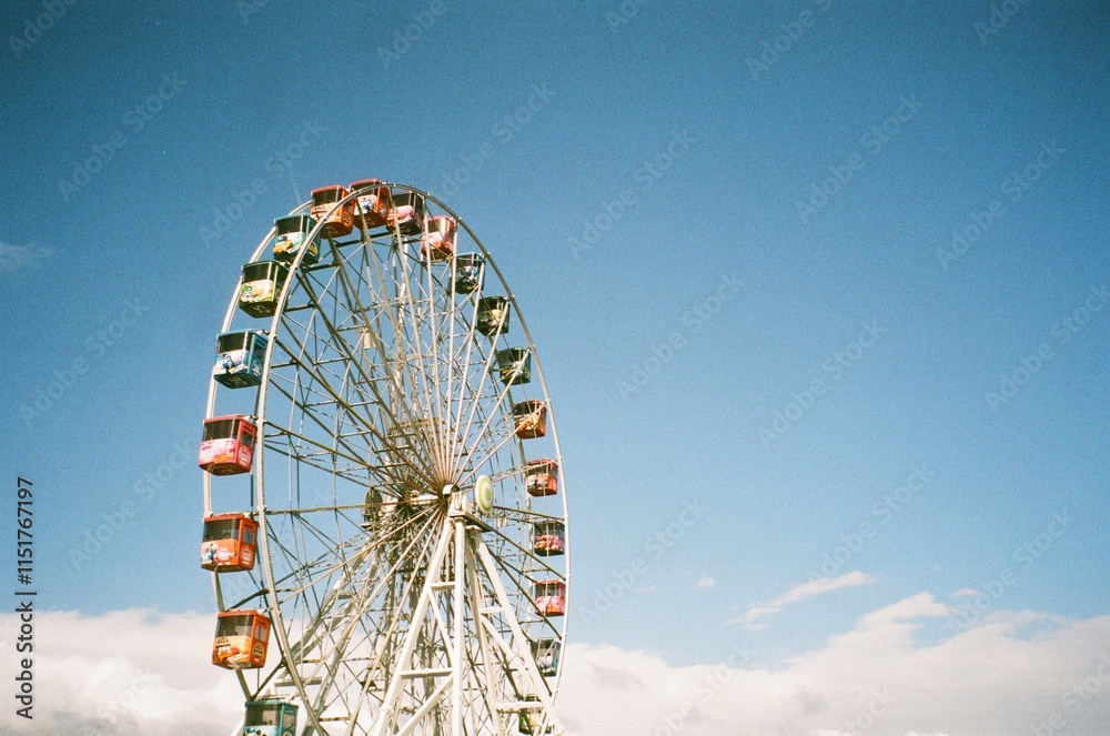 Fototapeta premium ferris wheel in the park