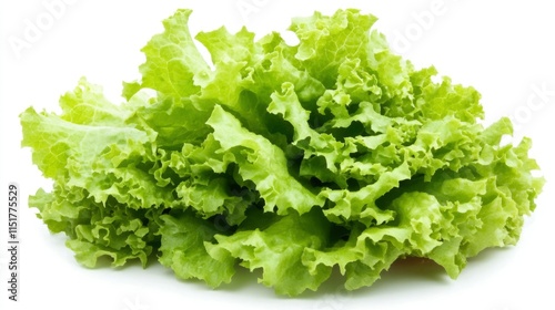 Fresh Green Leafy Lettuce Isolated On White Background