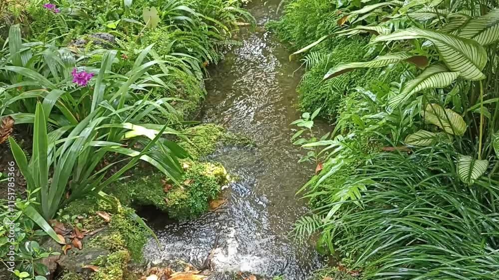 flowing water stream creek and plant in garden flowing water stream creek and plant in garden
