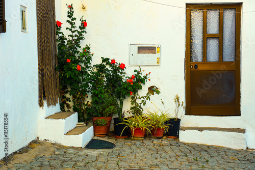 Innenhof in Portugal mit pflanzen