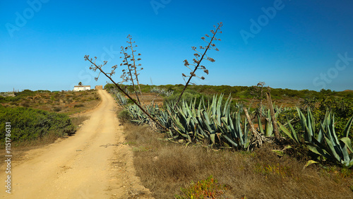 Öde Landschafft in der Algavre in Portugal