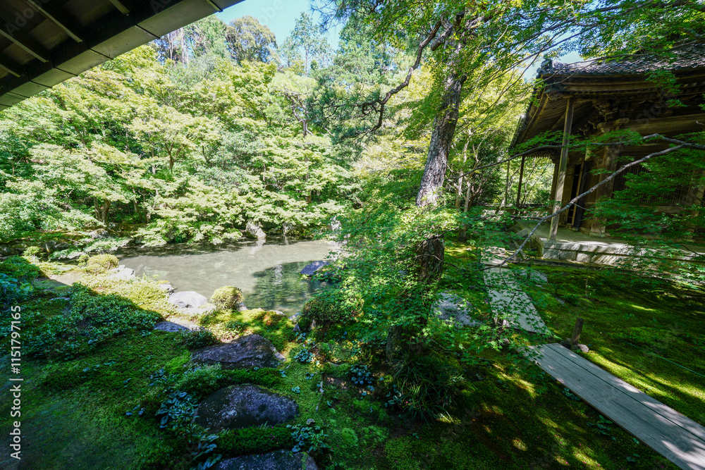 Naklejka premium 京都の仏教寺院の池のある庭園