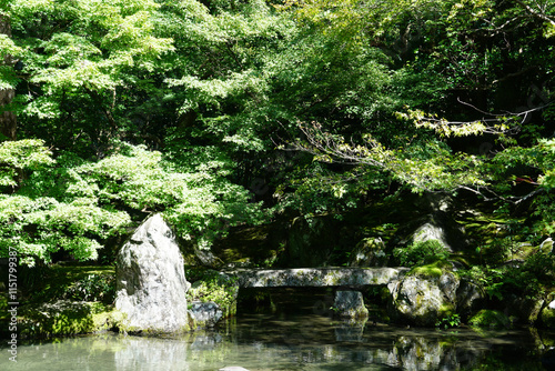 京都の仏教寺院の池のある庭園 photo