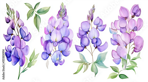 Watercolor American Wisteria seamless pattern, border, watercolor illustration, background.