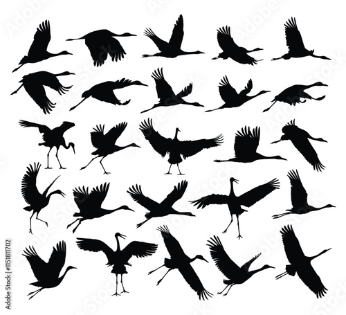 A set of silhouettes of the flying cranes.
