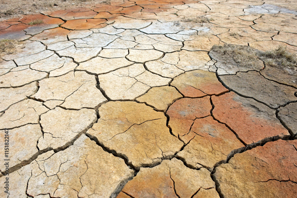 A cracked dry surface in earthy tones A cracked dry surface in earthy tones