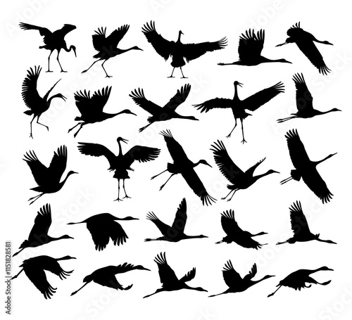 A set of silhouettes of the flying cranes.
