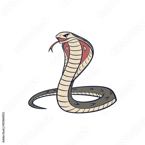 King cobra, Ophiophagus hannah, venomous snake against