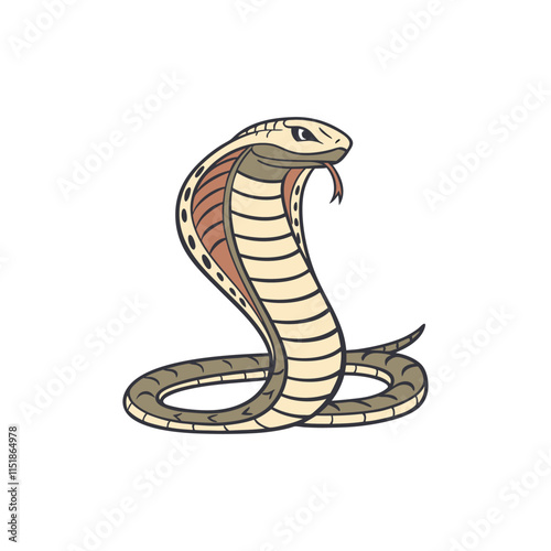 King cobra, Ophiophagus hannah, venomous snake against