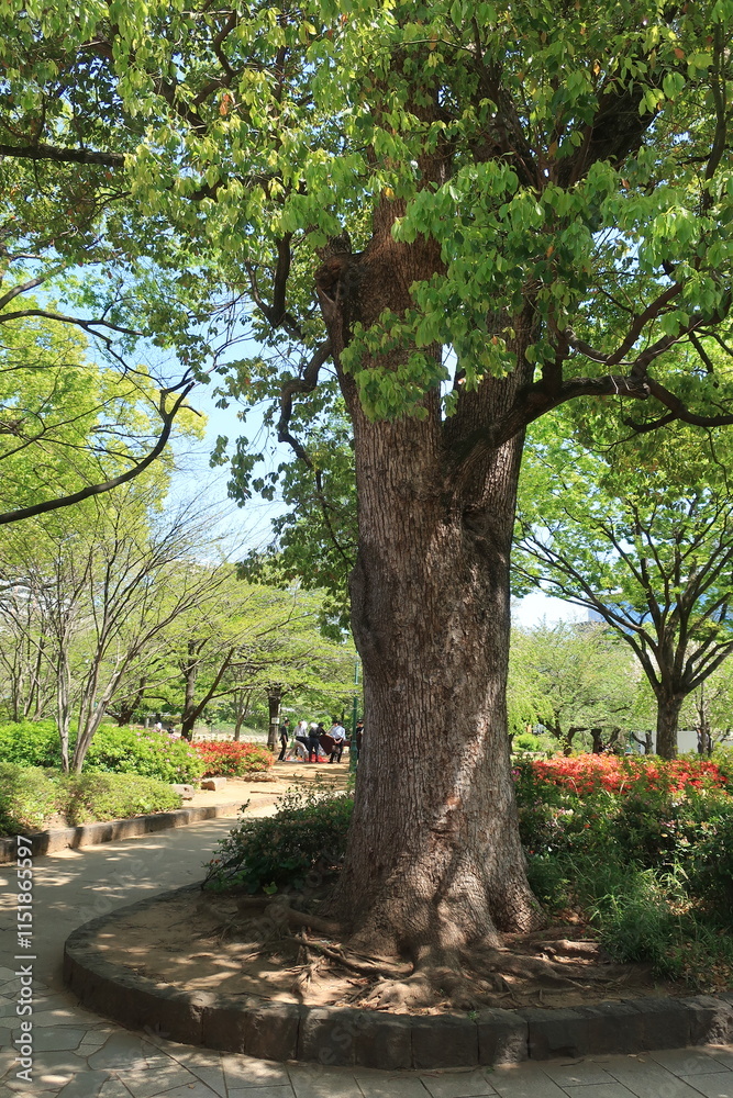 Obraz premium 東京都日本橋浜町公園の風景 都市風景