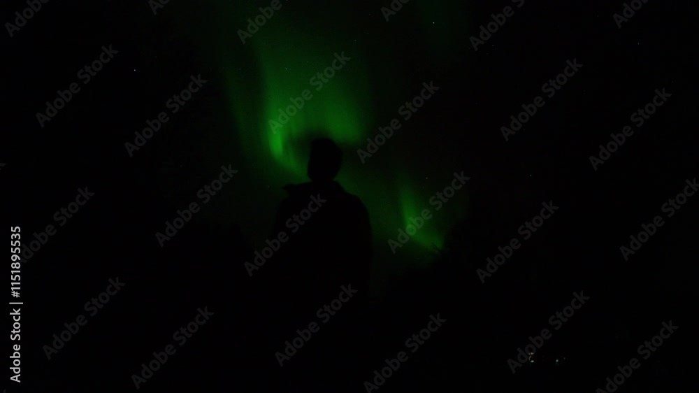 A captivating scene of a man standing in awe as the Northern Lights dance across the night sky in Norway. The vibrant green and purple auroras light up the cold, dark sky, creating a mesmerizing natur A captivating scene of a man standing in awe as the Northern Lights dance across the night sky in Norway. The vibrant green and purple auroras light up the cold, dark sky, creating a mesmerizing natur