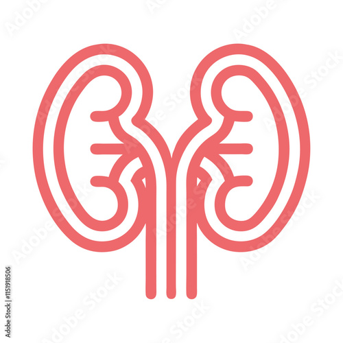 Urinary System Vector Design for Education