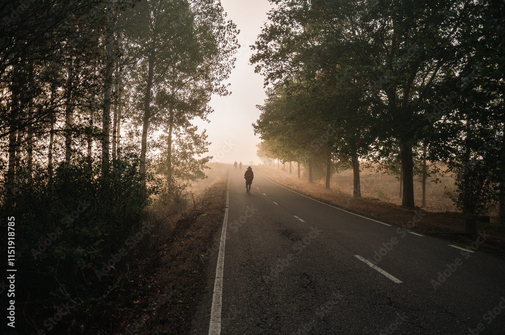 Obraz premium Pilgrims on the loneliest stage of the Camino de Santiago from El Burgo Ranero to Terradillos de los Templarios in 2024.
