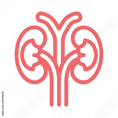 Urinary System Vector Design for Education
