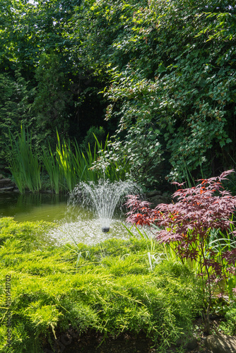 Magical garden pond with cascading fountain and evergreens on shore. Japanese palmatum maple grows on shore. Atmosphere of relaxation, tranquility and happiness