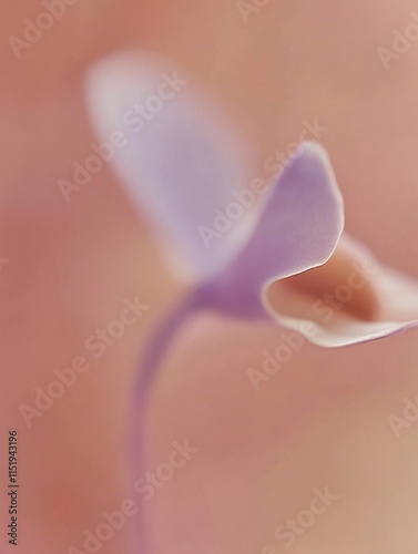 Abstract Watercolor Wall Art with PANTONE 17-1230 Mocha Mousse Tones