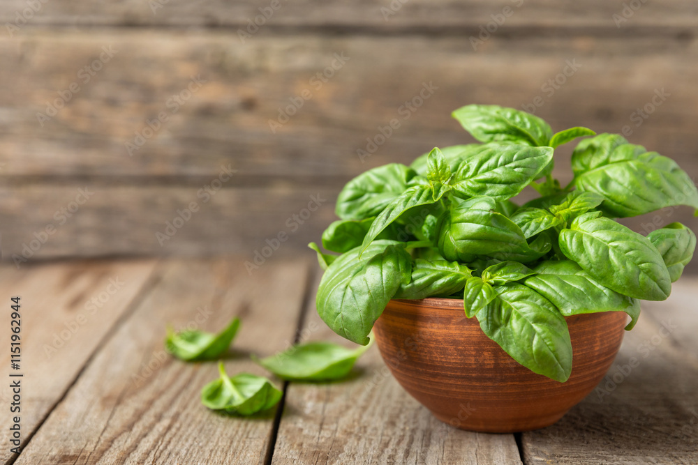 Green basil leaves on a textured wooden background. Kitchen herbs, spices. Fresh green organic basil. Vegan. Greens for salad. Place for text. Copy space. Green basil leaves on a textured wooden background. Kitchen herbs, spices. Fresh green organic basil. Vegan. Greens for salad. Place for text. Copy space.