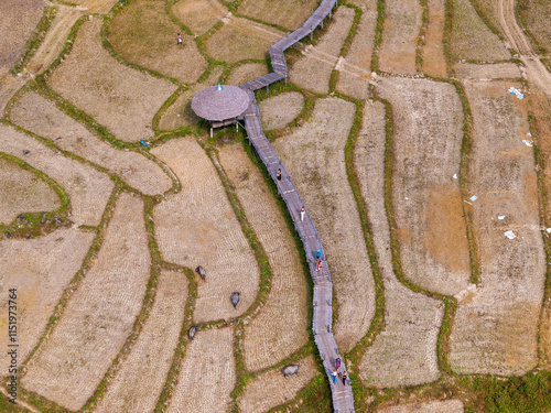 Aerial view of Kho Ku So Bamboo Bridge and rice fields in northern Thailand near Pai