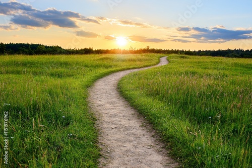 An overgrown field of wild grass and flowers, with a narrow path winding through it under a golden sunset