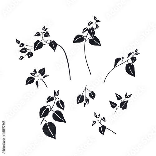 Hand drawn inky sketch style nettle plant silhouettes set isolated on white background. Medicinal herb line art