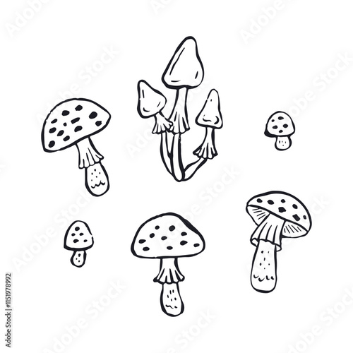 Hand drawn monochrome inky sketch style amanita mushrooms set. Poisonous fungy black and white doodles bundle