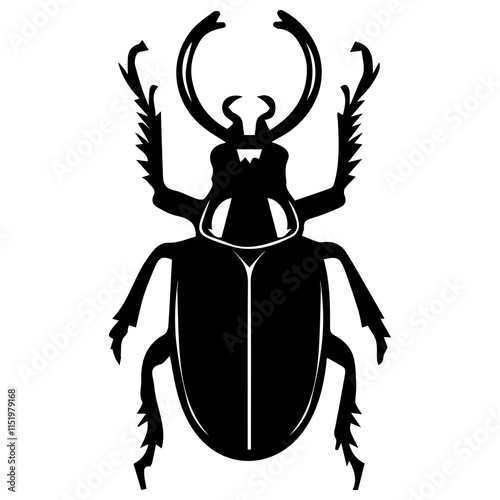 Beetle