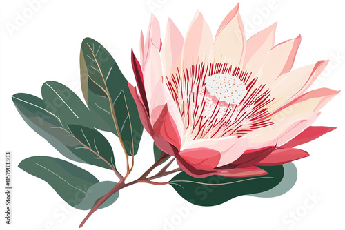 Vector illustration of a pink and red king protea flower with a flat design on a gray background photo